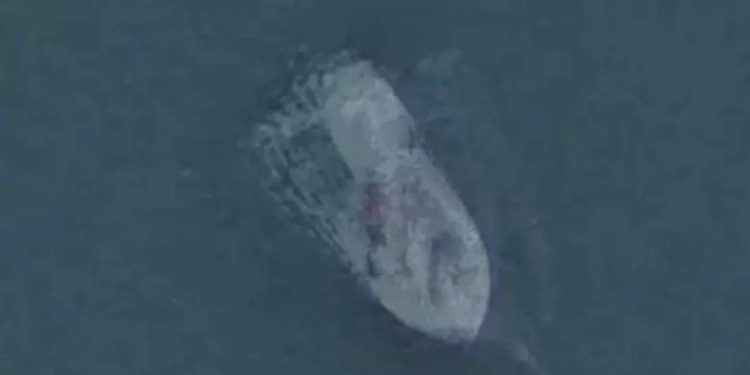 Unidentified Submersible Object