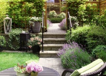 Backyard Sanctuary