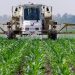 Farming