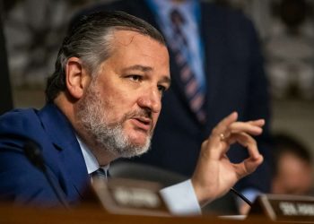 Ted Cruz: Democrats Are Responsible For Chinese Student Illegally Voting In Michigan