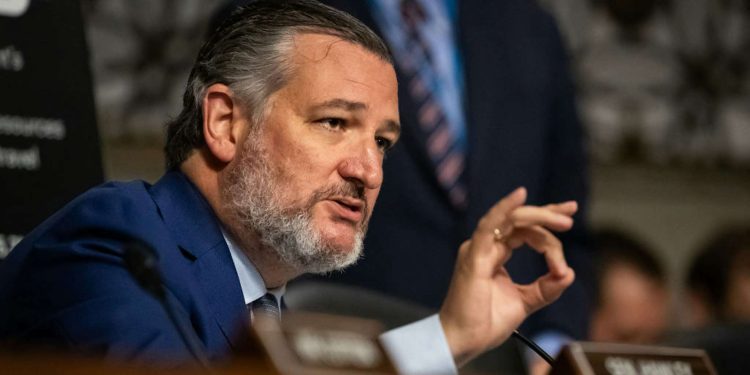 Ted Cruz: Democrats Are Responsible For Chinese Student Illegally Voting In Michigan