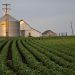 Illinois Soybean Farmers