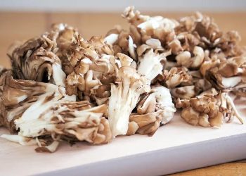 Maitake Mushrooms