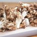 Maitake Mushrooms