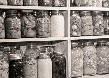 Prepper Food