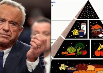 RFK Jr