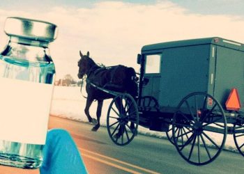 Amish Vaccines