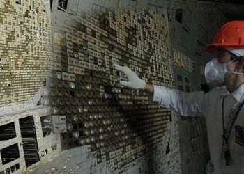Chernobyl Fungus