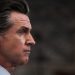 Gavin Newsom