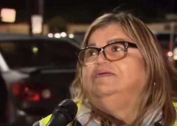 snap-democrat-woman-fat