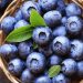 Blueberries