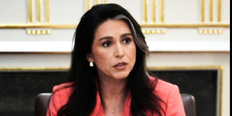 Tulsi Gabbard
