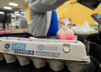 Eggs