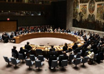 United Nations Security Council