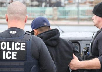 police-ice-arrest