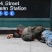 Homeless