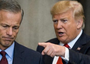 Thune Trump