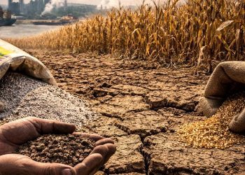 Fertilizer Famine