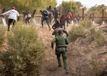 Illegal Aliens
