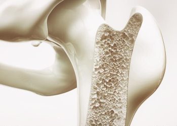 Bone