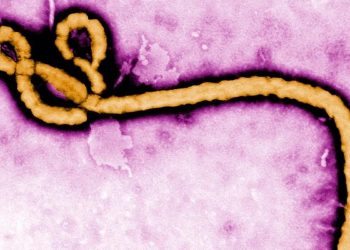 Ebola