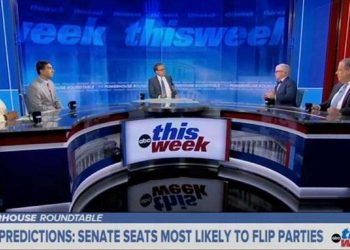 Liberal Panelist Faiz Shakir Quibbles With Former GOP Rep Over How Nazi Graham Platner’s Tattoos Are