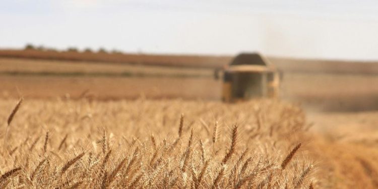 Glyphosate