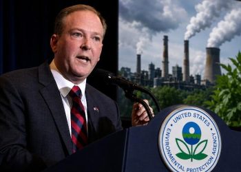 Lee Zeldin