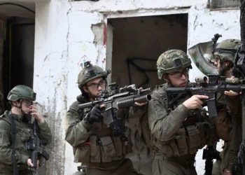 IDF