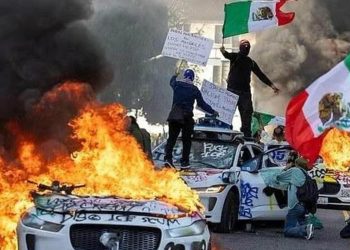 Left-Wing Revolutionaries