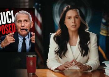 Tulsi Gabbard Anthony Fauci