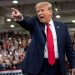 Donald Trump (1)