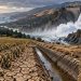 California Water