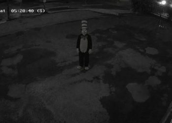 Cat in the Hat