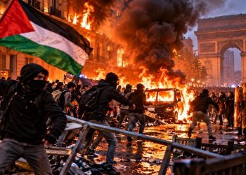 The DSA Is Planning to Import Europe’s Riots and Burn the Republic Down